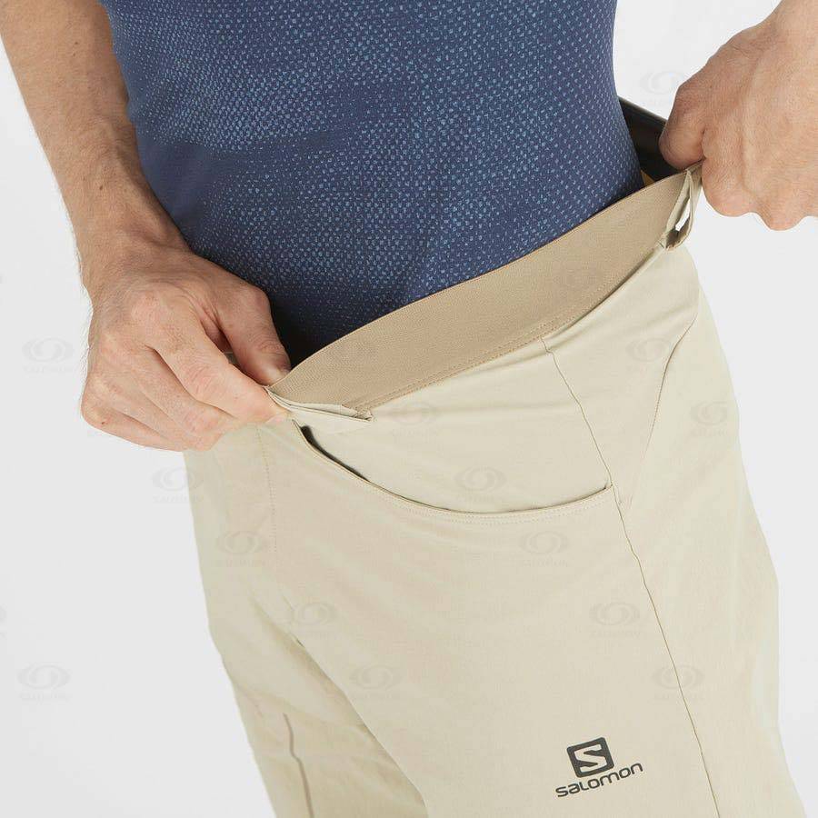 Beige Men's Salomon WAYFARER Shorts | USA-N1267