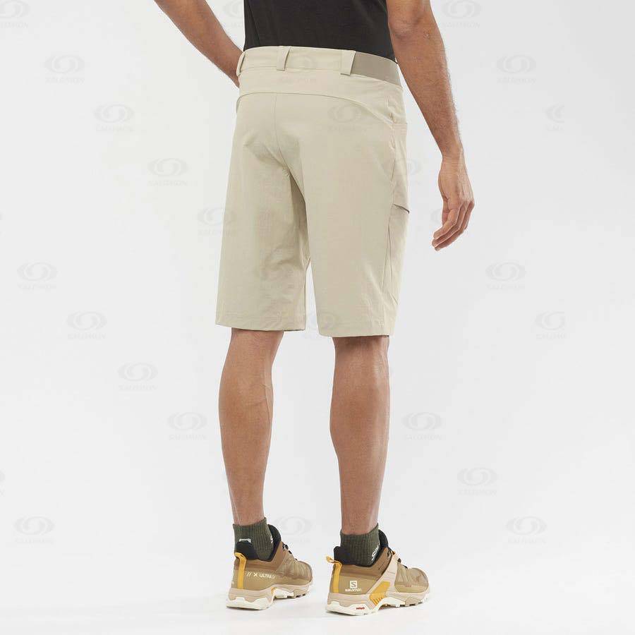 Beige Men's Salomon WAYFARER Shorts | USA-N1267