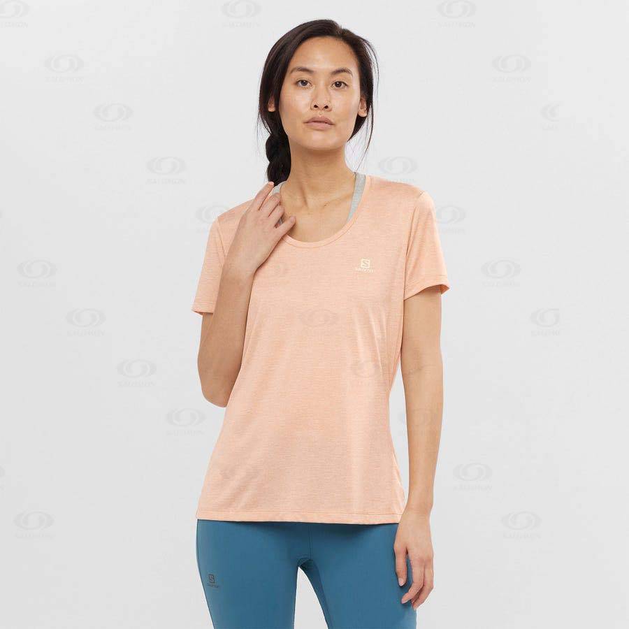 Beige Women's Salomon AGILE T Shirts | USA-A1451