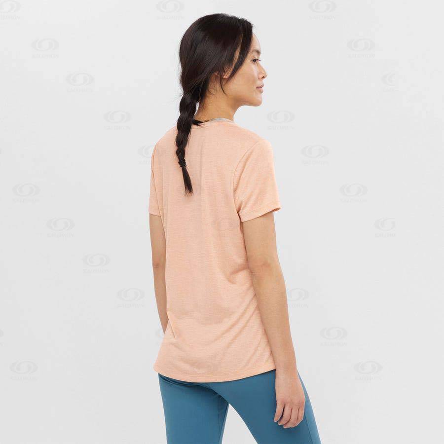 Beige Women's Salomon AGILE T Shirts | USA-A1451