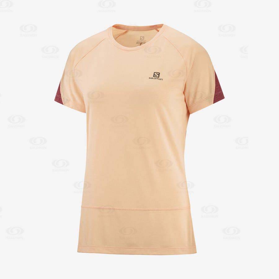 Beige Women\'s Salomon CROSS RUN T Shirts | USA-M2357