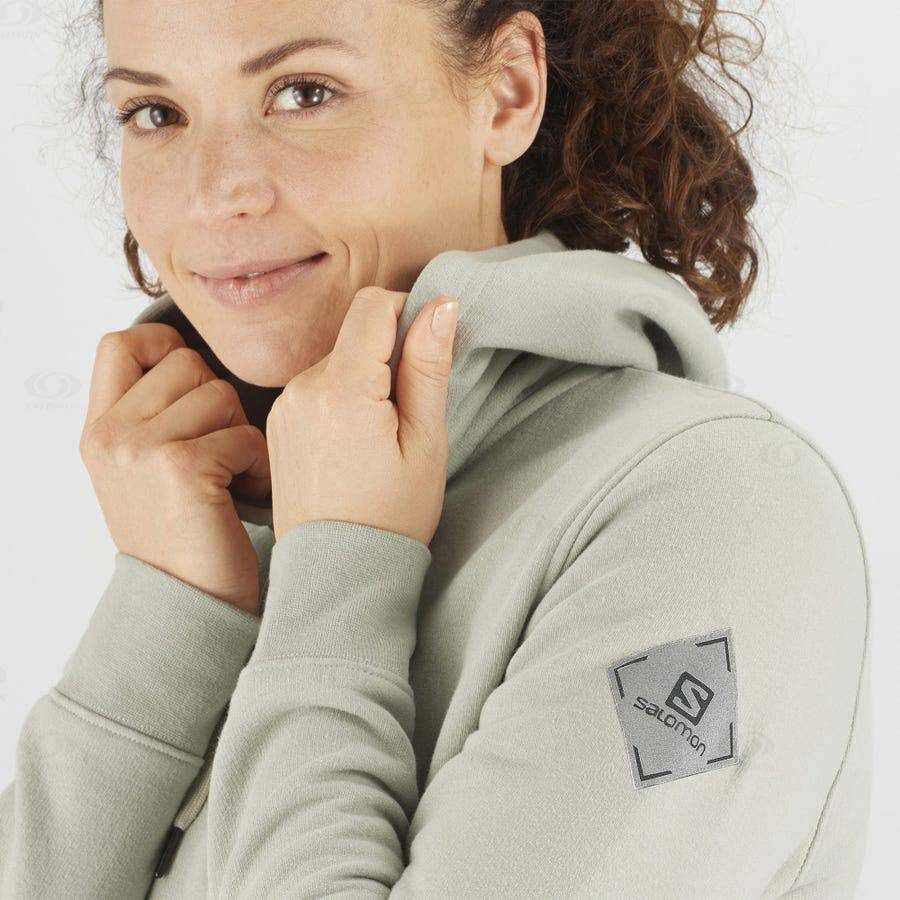 Beige Women's Salomon ESSENTIAL WARM SALOMON Hoodie | USA-S1065