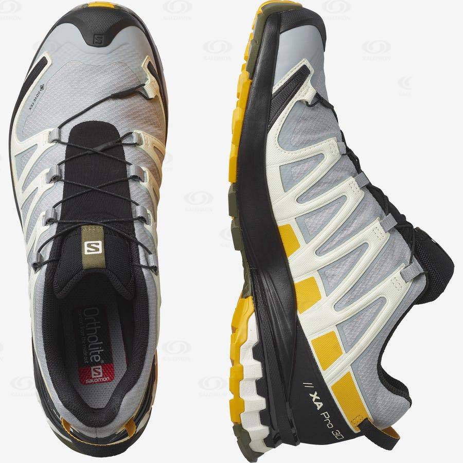 Black / Grey Men's Salomon XA PRO 3D v8 GORE-TEX Trail Running Shoes | USA-L1382