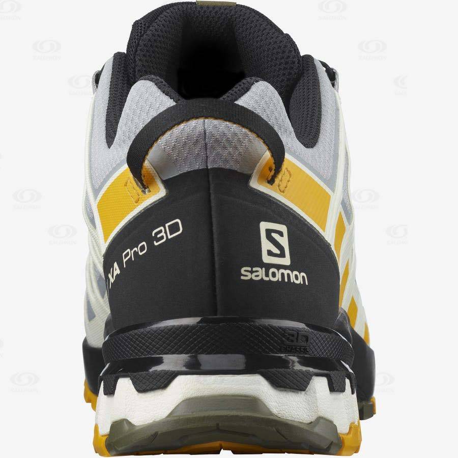 Black / Grey Men's Salomon XA PRO 3D v8 GORE-TEX Trail Running Shoes | USA-L1382