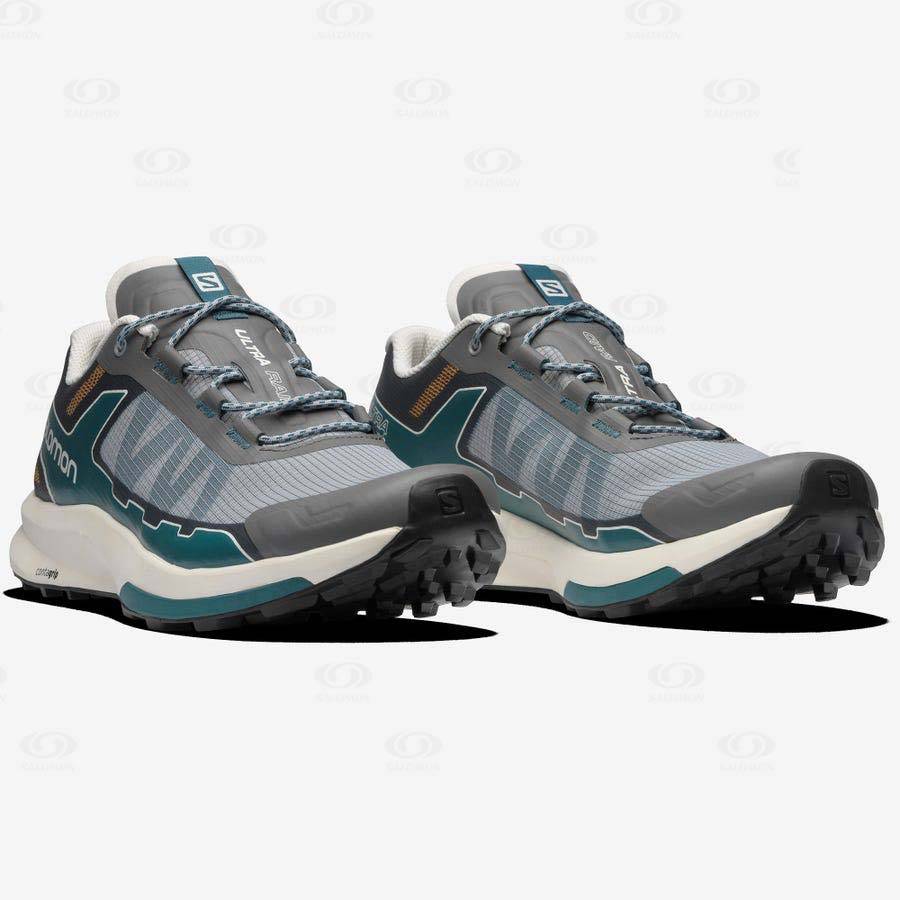 Grey / Silver Men's Salomon ULTRA RAID Sneakers | USA-O1266