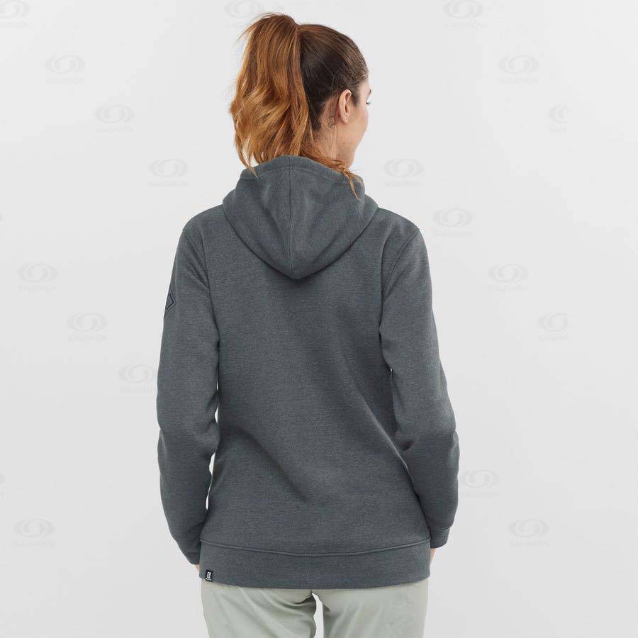 Grey Women's Salomon ESSENTIAL WARM SALOMON Hoodie | USA-W1290