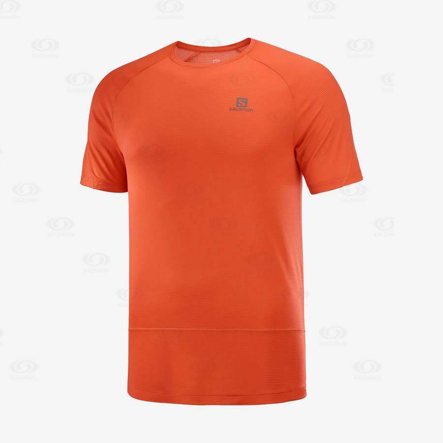 Orange Men\'s Salomon CROSS RUN T Shirts | USA-O2470