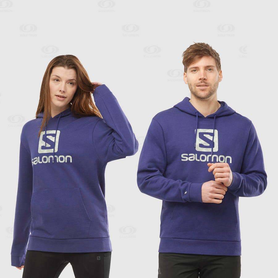 Purple Men's Salomon OUTLIFE LOGO SUMMER Hoodie | USA-A1822