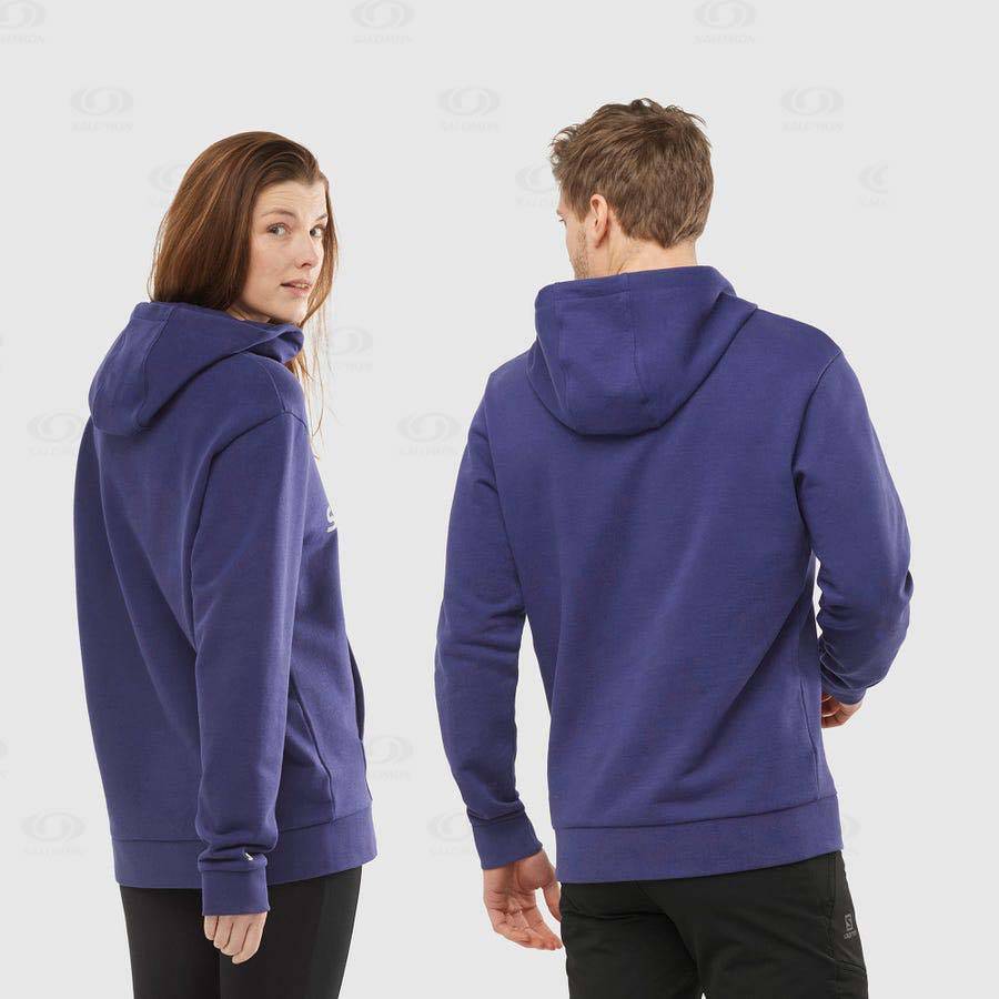 Purple Men's Salomon OUTLIFE LOGO SUMMER Hoodie | USA-A1822