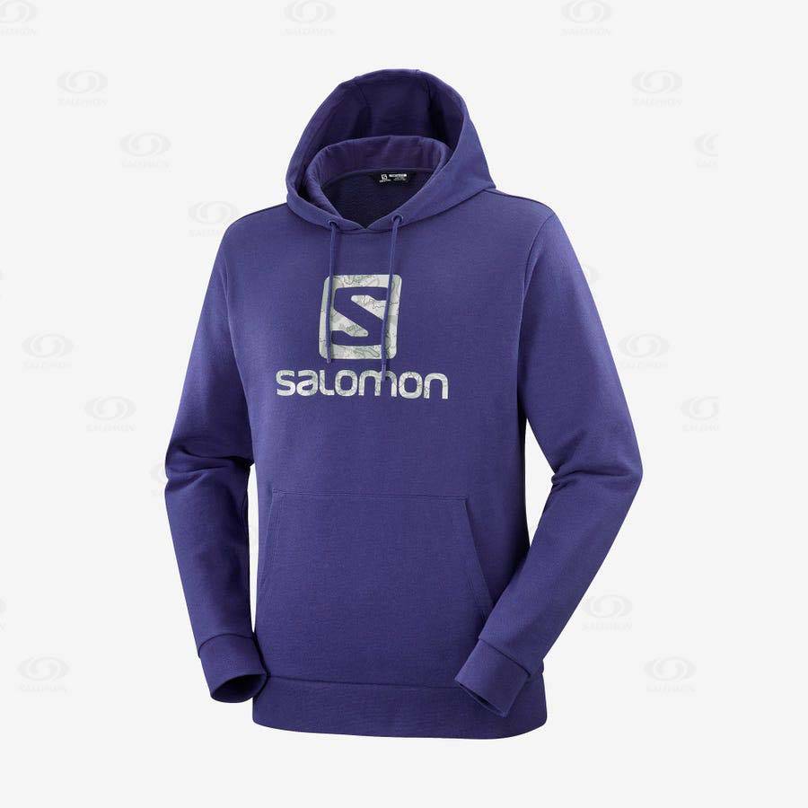 Purple Men\'s Salomon OUTLIFE LOGO SUMMER Hoodie | USA-A1822