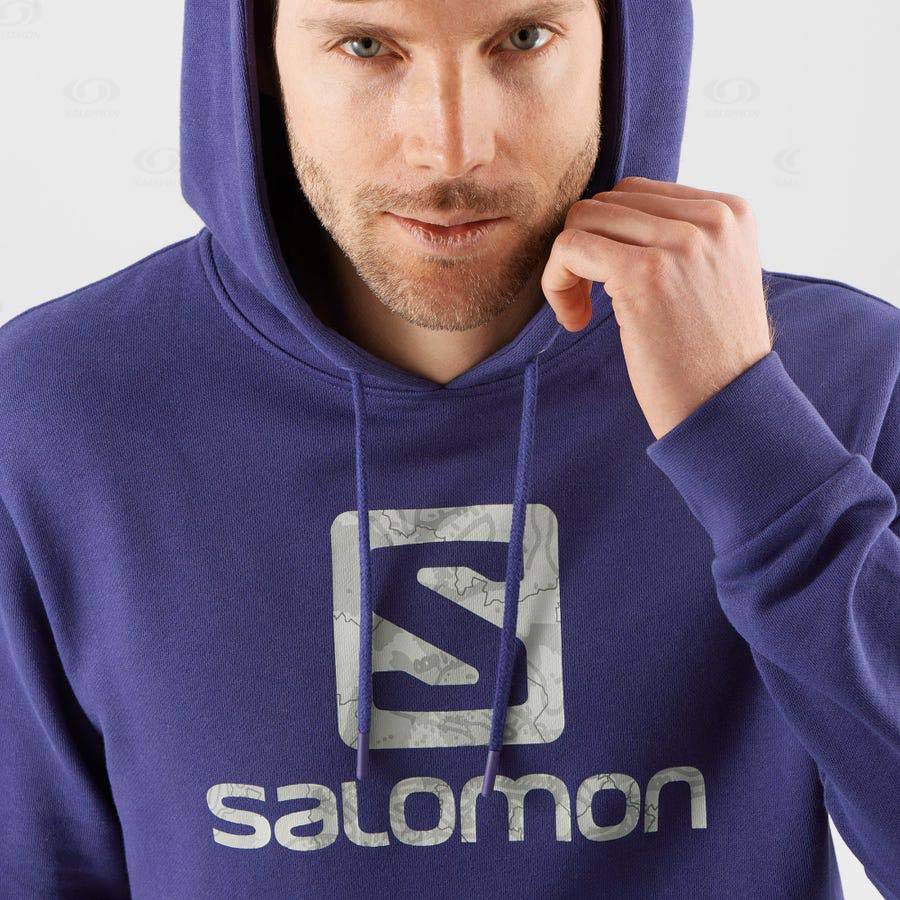 Purple Women's Salomon OUTLIFE LOGO SUMMER Hoodie | USA-A1808