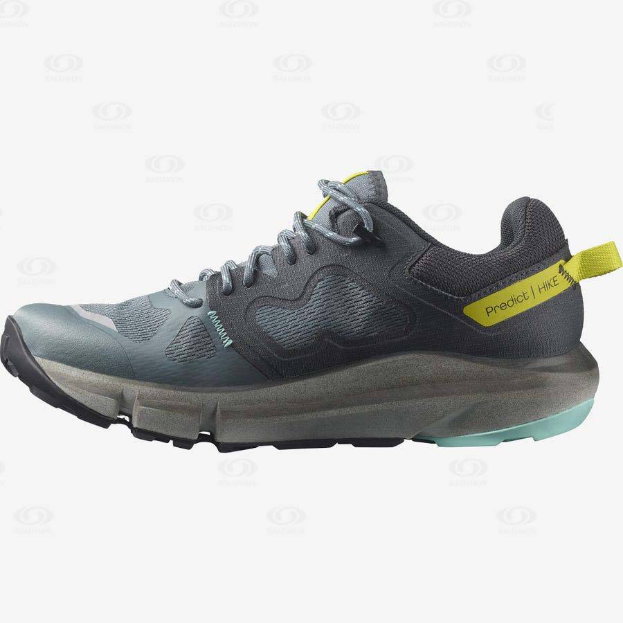 Silver Women's Salomon PREDICT HIKE GORE-TEX Hiking Shoes | USA-N1106