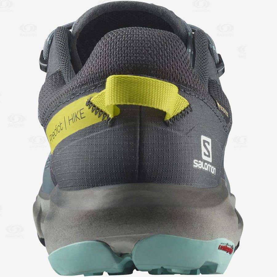 Silver Women's Salomon PREDICT HIKE GORE-TEX Hiking Shoes | USA-N1106