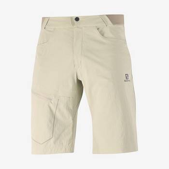 Beige Men's Salomon WAYFARER Shorts | USA-N1267