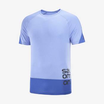 Blue Men's Salomon CROSS RUN GRAPHIC T Shirts | USA-N2317