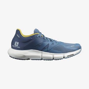 Blue Men's Salomon PREDICT 2 Running Shoes | USA-S2150