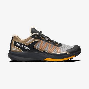 Brown / Silver Men's Salomon ULTRA RAID Sneakers | USA-L2166