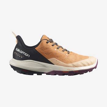 Brown Women's Salomon OUTPULSE GORE-TEX Waterproof Shoes | USA-S2626