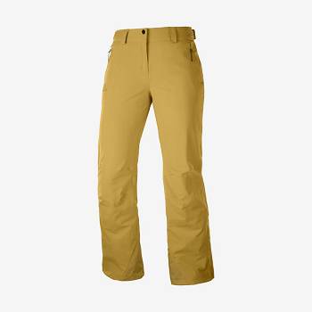 Brown Women's Salomon THE BRILLIANT Ski Pants | USA-S2255