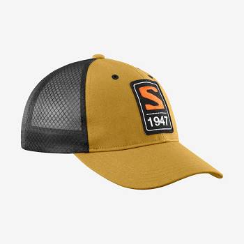 Brown Women's Salomon TRUCKERs Hats | USA-L2523