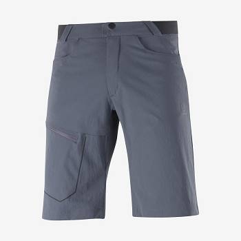 Grey Men's Salomon WAYFARER Shorts | USA-O1418