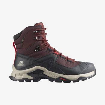 Grey / Red Men's Salomon QUEST ELEMENT GORE-TEX Hiking Boots | USA-S1093