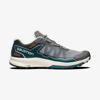 Grey / Silver Men's Salomon ULTRA RAID Sneakers | USA-O1266