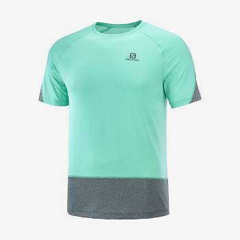 Mint Men's Salomon CROSS RUN T Shirts | USA-S2066