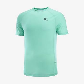 Mint Men's Salomon PROMO CROSS REBEL T Shirts | USA-O1187