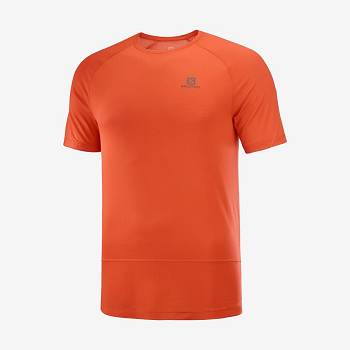 Orange Men's Salomon CROSS RUN T Shirts | USA-O2470