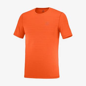 Orange Men's Salomon OUTLINE T Shirts | USA-S1842