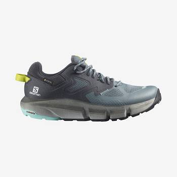 Silver Women's Salomon PREDICT HIKE GORE-TEX Waterproof Shoes | USA-O1994